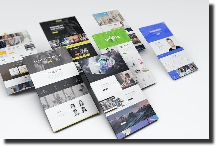 Next Step Solutions - Your Digital Partner in Regina